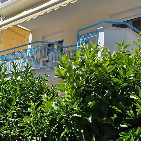 The Lemon House *
